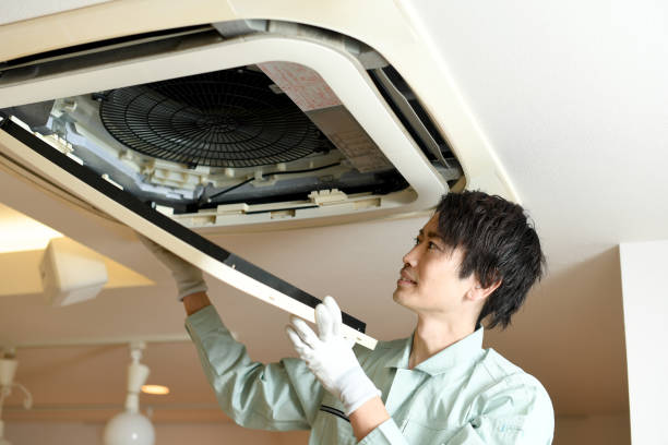 Air Duct Mold Removal in NJ